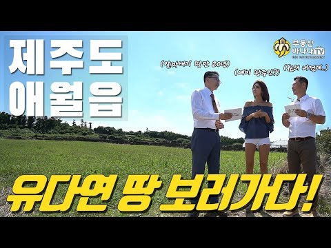 제주도 애월읍 토지