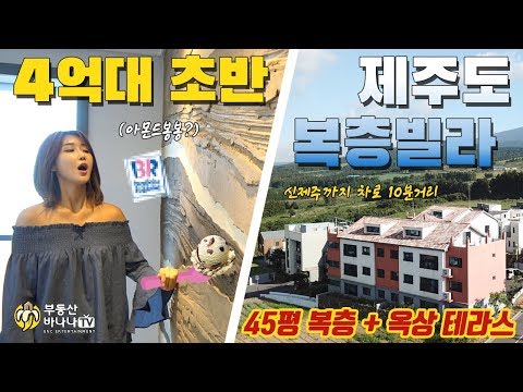 제주도 4억대초반 빌리 리뷰