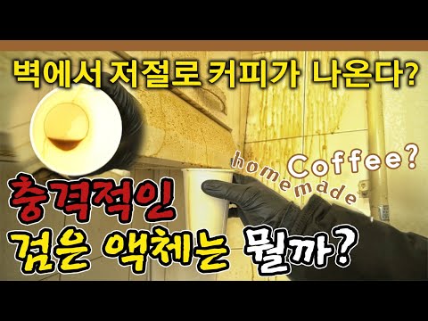 흑바나나-3